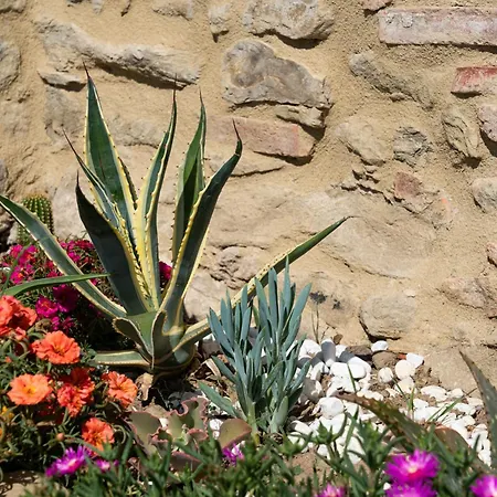 L'antico Casale A Timeless Retreat In 5* *